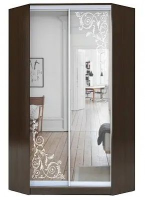 Шкаф-купе ХИТ-У-R-23-64-66 ОРНАМЕНТ в Югорске - yugorsk.mebel24.online | фото