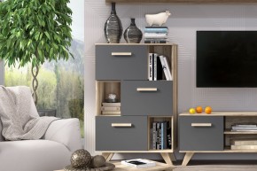 Шкаф низкий с нишами Вега Скандинавия в Югорске - yugorsk.mebel24.online | фото 6