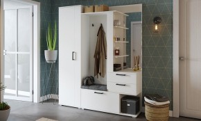 Шкаф платяной Эрика в Югорске - yugorsk.mebel24.online | фото 3
