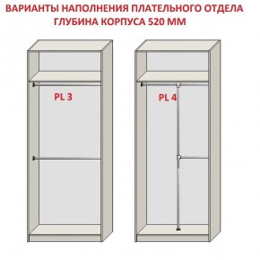 Шкаф распашной серия «ЗЕВС» (PL3/С1/PL2) в Югорске - yugorsk.mebel24.online | фото 10