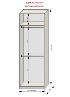 Шкаф распашной серия «ЗЕВС» (PL3/С1/PL2) в Югорске - yugorsk.mebel24.online | фото 12