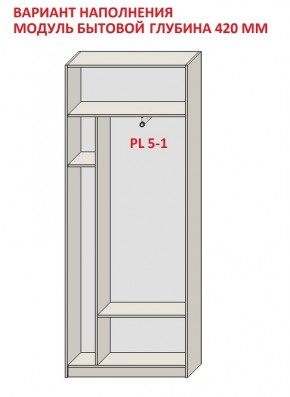 Шкаф распашной серия «ЗЕВС» (PL3/С1/PL2) в Югорске - yugorsk.mebel24.online | фото 4