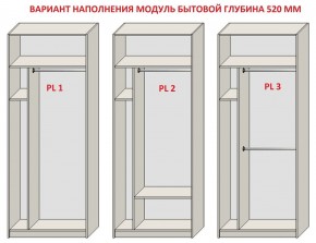 Шкаф распашной серия «ЗЕВС» (PL3/С1/PL2) в Югорске - yugorsk.mebel24.online | фото 5