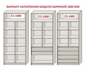 Шкаф распашной серия «ЗЕВС» (PL3/С1/PL2) в Югорске - yugorsk.mebel24.online | фото 7