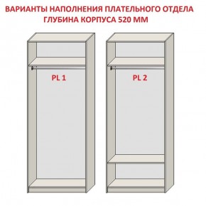 Шкаф распашной серия «ЗЕВС» (PL3/С1/PL2) в Югорске - yugorsk.mebel24.online | фото 9