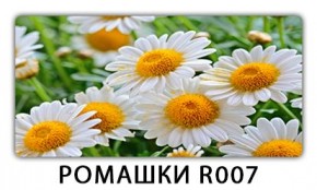 Стол раздвижной Трилогия с фотопечатью Орхидея C013 в Югорске - yugorsk.mebel24.online | фото 15