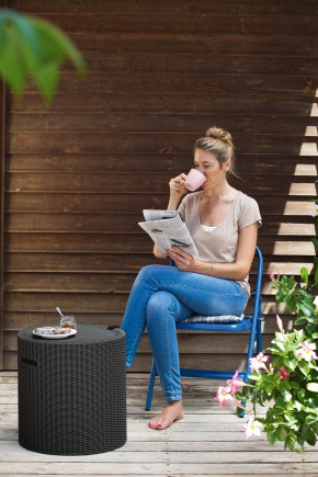 Столик-холодильник Кул-Стул (Cool stool) графит в Югорске - yugorsk.mebel24.online | фото 1