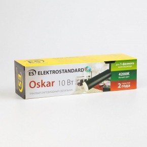Светильник на штанге Elektrostandard Oskar a040964 в Югорске - yugorsk.mebel24.online | фото 4