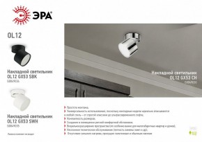 Светильник на штанге Эра OL12 GX53 SBK Б0049034 в Югорске - yugorsk.mebel24.online | фото 5