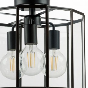 Светильник на штанге Lightstar Genni 798237 в Югорске - yugorsk.mebel24.online | фото 4