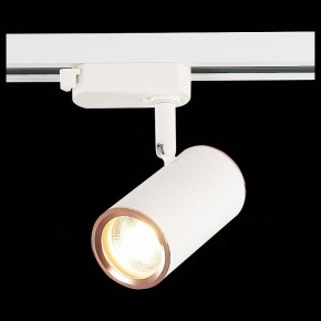 Светильник на штанге ST-Luce Cromi ST301.526.01 в Югорске - yugorsk.mebel24.online | фото 6