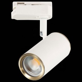Светильник на штанге ST-Luce Cromi ST301.536.01 в Югорске - yugorsk.mebel24.online | фото 4