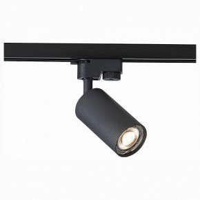 Светильник на штанге ST-Luce Solt ST300.406.01 в Югорске - yugorsk.mebel24.online | фото 1