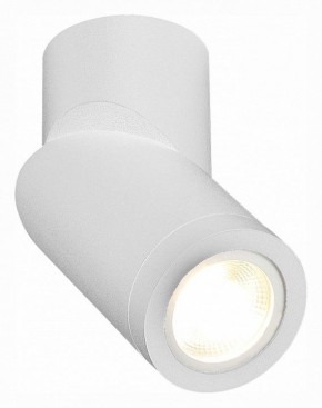 Светильник на штанге ST-Luce ST650 ST650.502.01 в Югорске - yugorsk.mebel24.online | фото 3