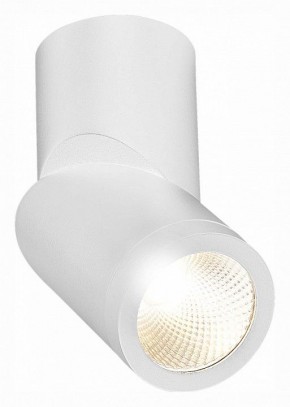 Светильник на штанге ST-Luce ST650 ST650.532.10 в Югорске - yugorsk.mebel24.online | фото 3
