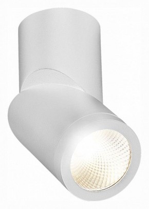 Светильник на штанге ST-Luce ST650 ST650.542.10 в Югорске - yugorsk.mebel24.online | фото 3