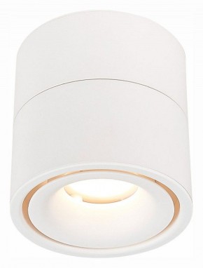 Светильник на штанге ST-Luce ST652 ST652.532.12 в Югорске - yugorsk.mebel24.online | фото 2