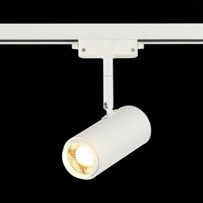 Светильник на штанге ST-Luce Zoom ST600.536.12 в Югорске - yugorsk.mebel24.online | фото 4