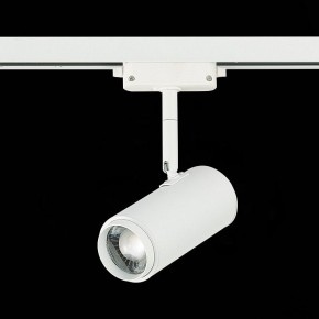 Светильник на штанге ST-Luce Zoom ST600.546.12 в Югорске - yugorsk.mebel24.online | фото 5