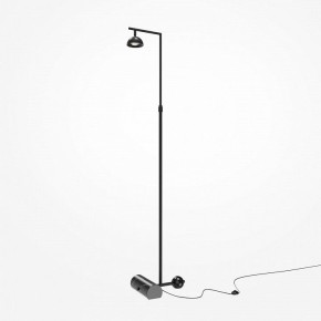 Торшер Maytoni Pikant MOD372FL-L10B3K в Югорске - yugorsk.mebel24.online | фото 2