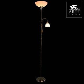 Торшер с подсветкой Arte Lamp Duetto A9569PN-2AB в Югорске - yugorsk.mebel24.online | фото 3