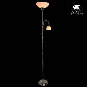 Торшер с подсветкой Arte Lamp Duetto A9569PN-2SS в Югорске - yugorsk.mebel24.online | фото 3