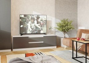 Тумба ТВ большая Парус (Белый/Графит) в Югорске - yugorsk.mebel24.online | фото 2