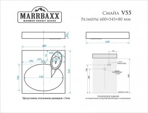 Умывальник над стиральной машиной (600*545*80) Смайл V55D1 (белый) с кронштейном без сифона (V55D1) в Югорске - yugorsk.mebel24.online | фото 2