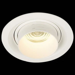 Встраиваемый светильник ST-Luce Zoom ST701.538.12 в Югорске - yugorsk.mebel24.online | фото 4